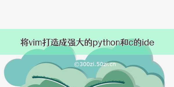 将vim打造成强大的python和c的ide