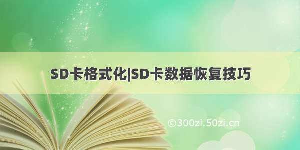 SD卡格式化|SD卡数据恢复技巧