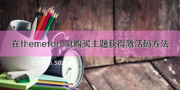 在themeforest购买主题获得激活码方法