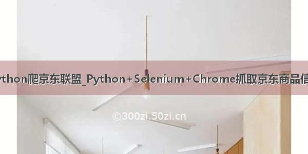 python爬京东联盟_Python+Selenium+Chrome抓取京东商品信息