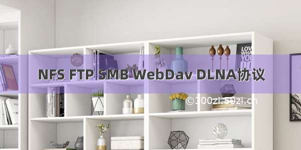 NFS FTP SMB WebDav DLNA协议