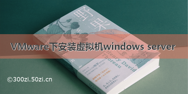 VMware下安装虚拟机windows server 