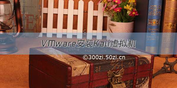 VMware安装Kali虚拟机