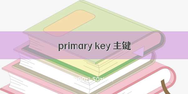 primary key 主键