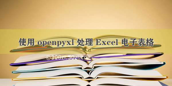 使用 openpyxl 处理 Excel 电子表格
