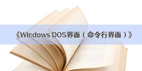 《Windows DOS界面（命令行界面）》