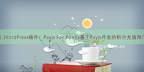 payjs 源码_WordPress插件：Payjs For Ponits基于Payjs开发的积分充值微信支付插件