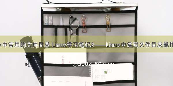 Linux中常用的文件目录 Linux学习笔记2——Linux中常用文件目录操作命令