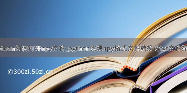python如何打开npy文件_python实现npy格式文件转换为txt文件操作