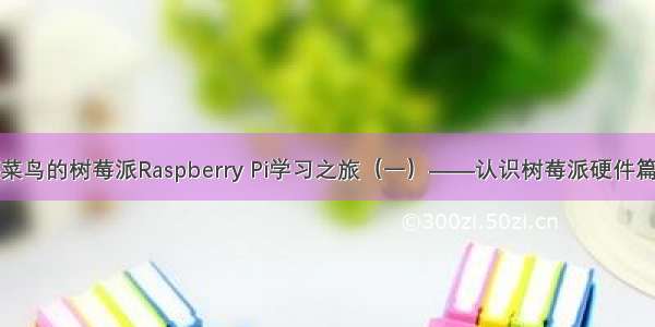 菜鸟的树莓派Raspberry Pi学习之旅（一）——认识树莓派硬件篇