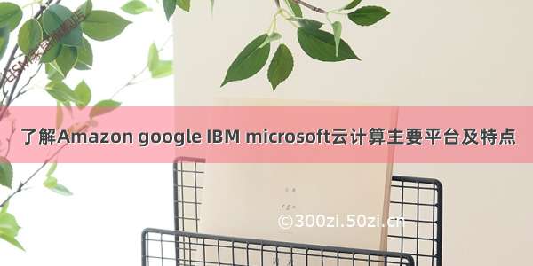了解Amazon google IBM microsoft云计算主要平台及特点