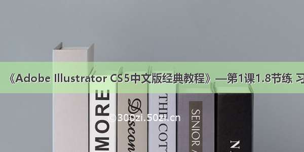 《Adobe Illustrator CS5中文版经典教程》—第1课1.8节练 习