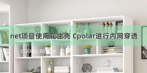 net项目使用花生壳 Cpolar进行内网穿透