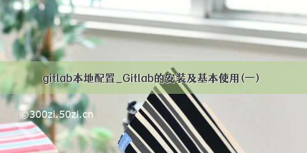 gitlab本地配置_Gitlab的安装及基本使用(一)