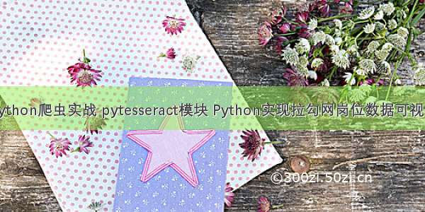 Python爬虫实战 pytesseract模块 Python实现拉勾网岗位数据可视化