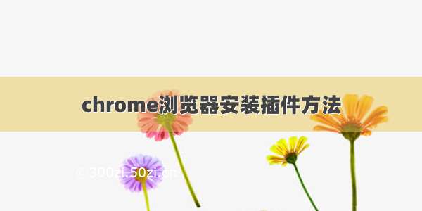 chrome浏览器安装插件方法