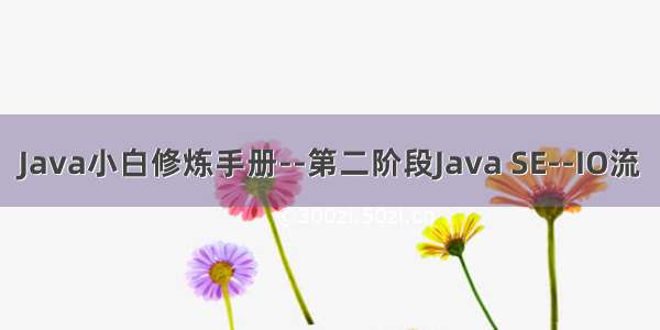 Java小白修炼手册--第二阶段Java SE--IO流