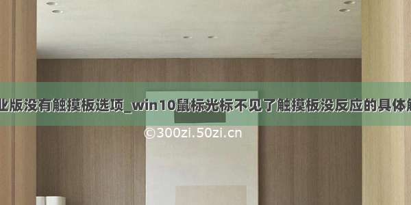 win10专业版没有触摸板选项_win10鼠标光标不见了触摸板没反应的具体解决办法...