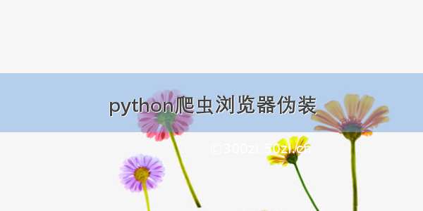 python爬虫浏览器伪装