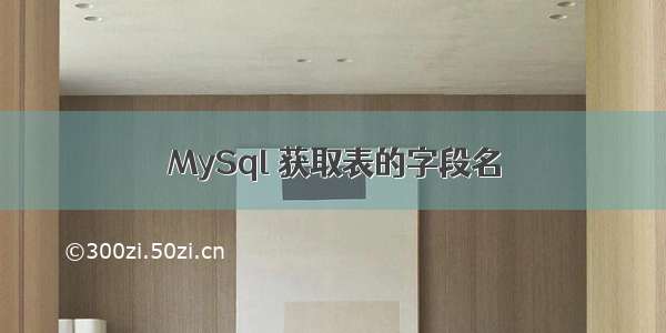 MySql 获取表的字段名