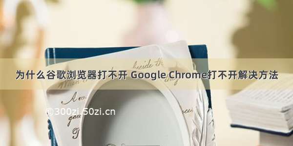 为什么谷歌浏览器打不开 Google Chrome打不开解决方法