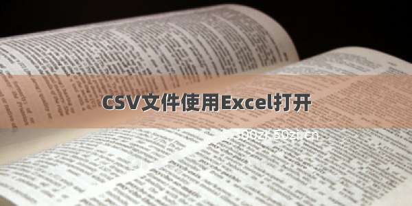 CSV文件使用Excel打开