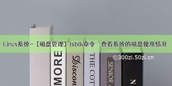 Linux系统-【磁盘管理】lsblk命令 – 查看系统的磁盘使用情况