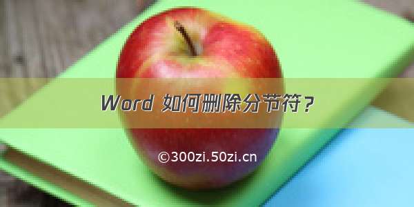 Word 如何删除分节符？