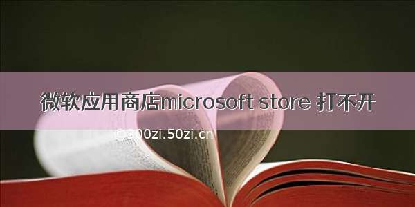 微软应用商店microsoft store 打不开