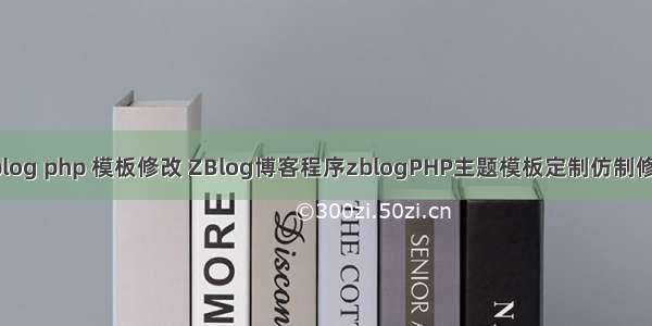 zblog php 模板修改 ZBlog博客程序zblogPHP主题模板定制仿制修改