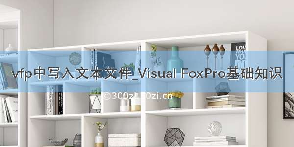 vfp中写入文本文件_Visual FoxPro基础知识