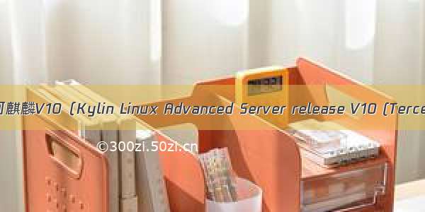 安装nginx--银河麒麟V10（Kylin Linux Advanced Server release V10 (Tercel)）操作系统