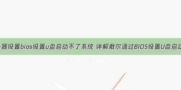 dell服务器设置bios设置u盘启动不了系统 详解戴尔通过BIOS设置U盘启动的技巧