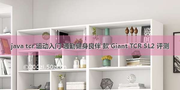 java tcr 运动入门 通勤健身良伴 款 Giant TCR SL2 评测