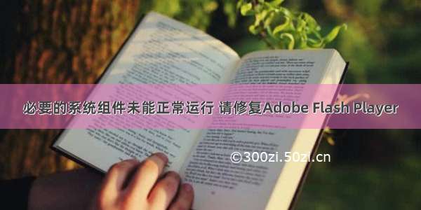 必要的系统组件未能正常运行 请修复Adobe Flash Player