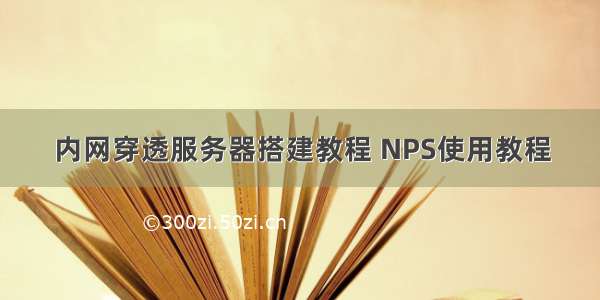 内网穿透服务器搭建教程 NPS使用教程