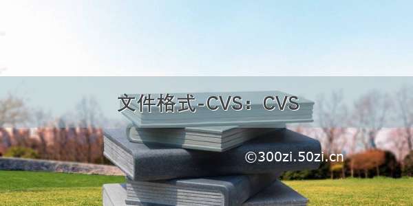 文件格式-CVS：CVS