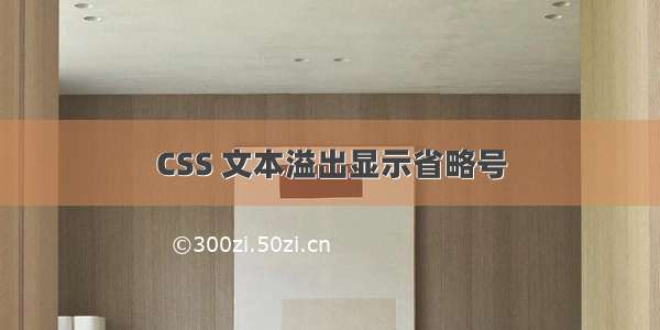 CSS 文本溢出显示省略号