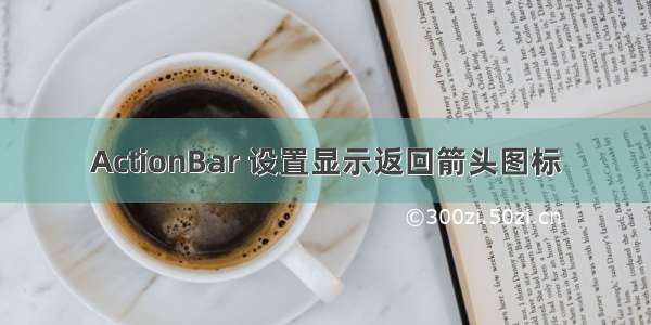 ActionBar 设置显示返回箭头图标