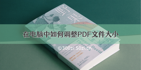 在电脑中如何调整PDF文件大小