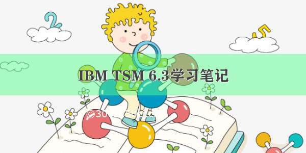 IBM TSM 6.3学习笔记