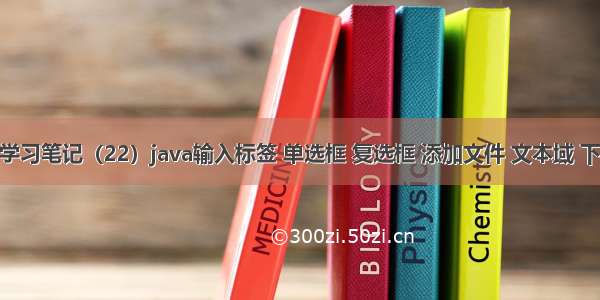 java学习笔记（22）java输入标签 单选框 复选框 添加文件 文本域 下拉框