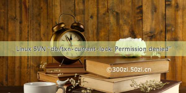 Linux SVN “db/txn-current-lock: Permission denied”
