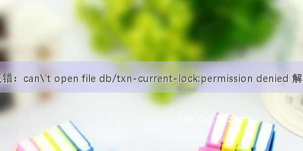 SVN报错：can\'t open file db/txn-current-lock:permission denied 解决方法