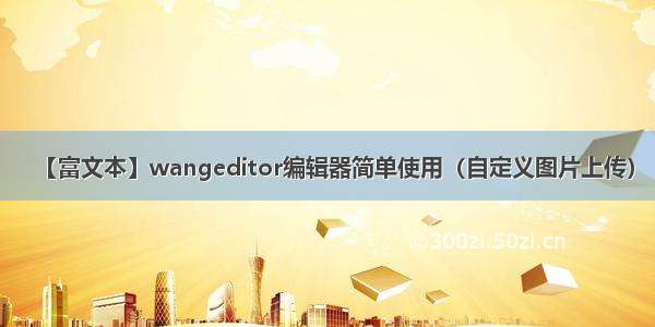 【富文本】wangeditor编辑器简单使用（自定义图片上传）