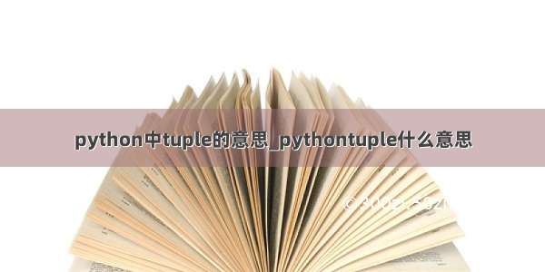 python中tuple的意思_pythontuple什么意思