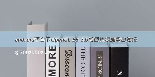 android平台下OpenGL ES 3.0给图片添加黑白滤镜