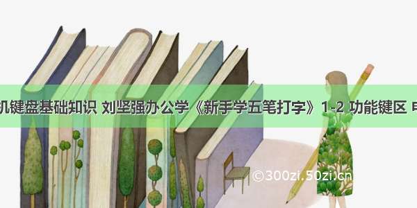 自学计算机键盘基础知识 刘坚强办公学《新手学五笔打字》1-2 功能键区 电脑键盘功