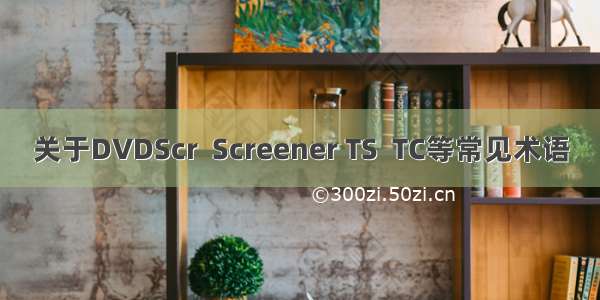 关于DVDScr  Screener TS  TC等常见术语