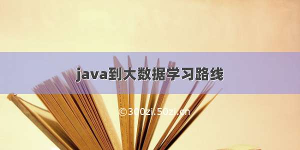 java到大数据学习路线